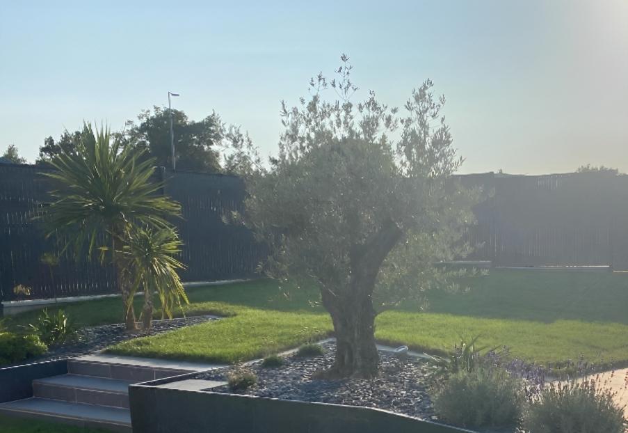 Jardin, vue sur la mer